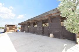 FANTASTIC EQUESTRIAN FACILITY IN LA MARINA, COSTA BLANCA