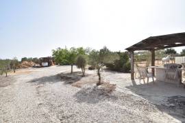 FANTASTIC EQUESTRIAN FACILITY IN LA MARINA, COSTA BLANCA