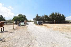 FANTASTIC EQUESTRIAN FACILITY IN LA MARINA, COSTA BLANCA