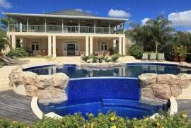 Sugar Hill - Bananaquit