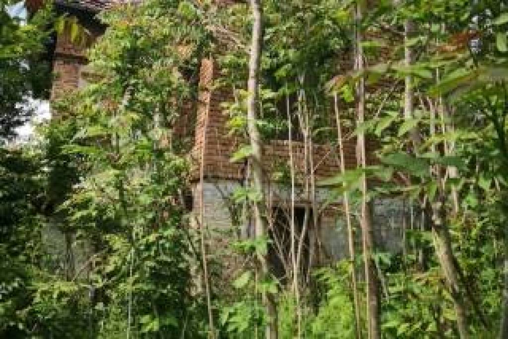 Property for refurbishment in Mihaltsi North of VT Pay Monthly available