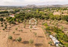 Farmhouse Montemor-o-Novo