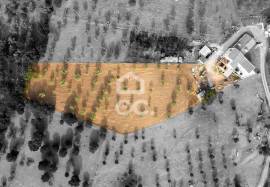 Farmhouse Montemor-o-Novo