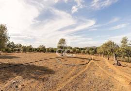Farmhouse Montemor-o-Novo