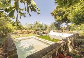 Farmhouse Arraiolos Hortas
