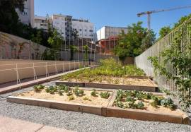 T1 apartment like a home, inserted in a luxury condominium in Graça, with swimming pools and saunas