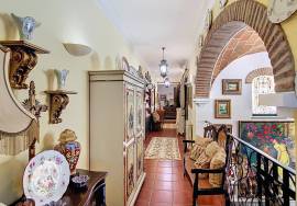 5 bedroom farm with pool 56 kms from Comporta