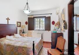 5 bedroom farm with pool 56 kms from Comporta