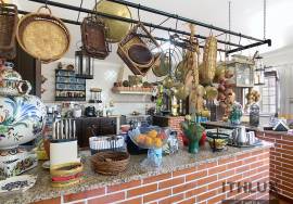 5 bedroom farm with pool 56 kms from Comporta