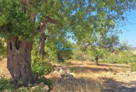 Rustic land with 5240m² located in Cerro do Roque- Paderne