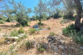 Rustic land with 5240m² located in Cerro do Roque- Paderne