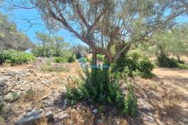 Rustic land with 5240m² located in Cerro do Roque- Paderne
