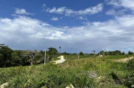Oceanview Lots In Cabrera