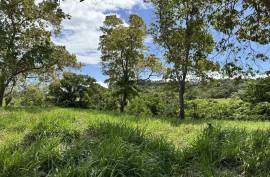 Oceanview Lots In Cabrera