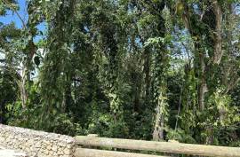 Oceanview Lots In Cabrera