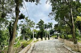 Oceanview Lots In Cabrera