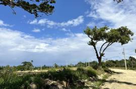Oceanview Lots In Cabrera