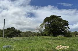 Oceanview Lots In Cabrera