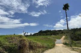 Oceanview Lots In Cabrera