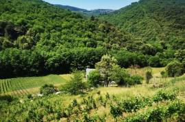 Excellent 2 Bed house For Sale In Dufort