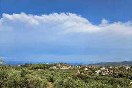 Excellent Plot of land for sale in Raches Kyparissia