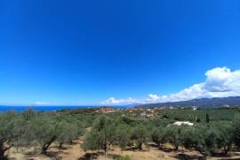 Excellent Plot of land for sale in Raches Kyparissia