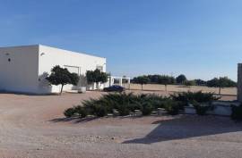 We sell a beautiful warehouse in Crevillente