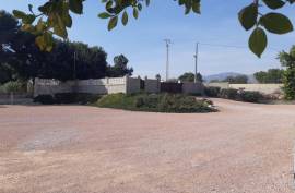 We sell a beautiful warehouse in Crevillente