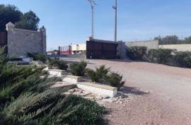 We sell a beautiful warehouse in Crevillente