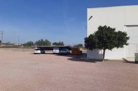 We sell a beautiful warehouse in Crevillente