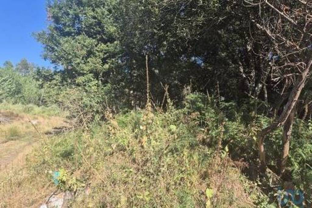 Terreno em Arrifana de 362,00 m²