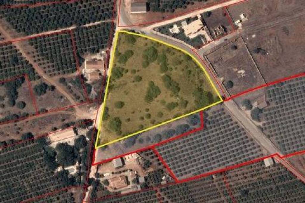 Terreno em Silves