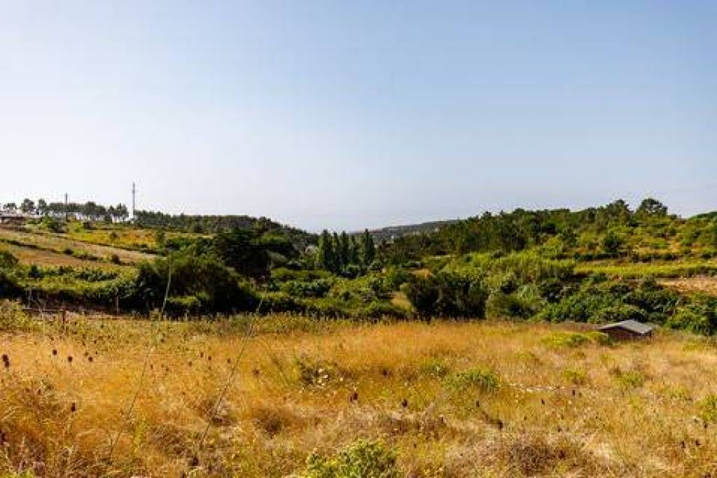 For sale Plot - Ericeira 1,5 km, A Casa das Casas