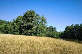 Beautiful, Peaceful Fishing Lake in 3.8 Hectare of Countryside