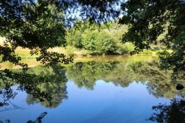Beautiful, Peaceful Fishing Lake in 3.8 Hectare of Countryside