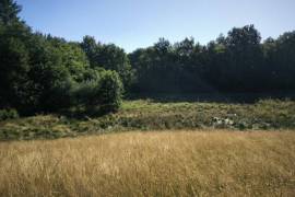 Beautiful, Peaceful Fishing Lake in 3.8 Hectare of Countryside