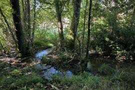 Beautiful, Peaceful Fishing Lake in 3.8 Hectare of Countryside
