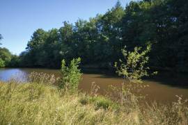 Beautiful, Peaceful Fishing Lake in 3.8 Hectare of Countryside