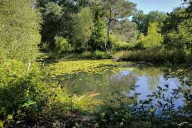 Beautiful, Peaceful Fishing Lake in 3.8 Hectare of Countryside