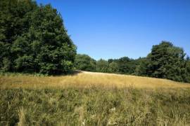Beautiful, Peaceful Fishing Lake in 3.8 Hectare of Countryside
