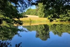 Beautiful, Peaceful Fishing Lake in 3.8 Hectare of Countryside