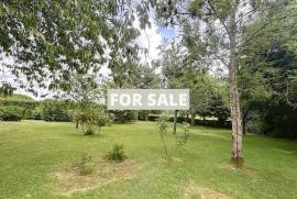 Property For Sale