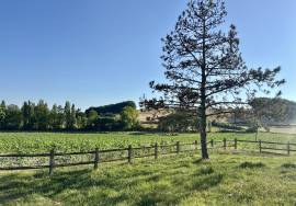 Magnifique propriete avec maison de plain pied et grange