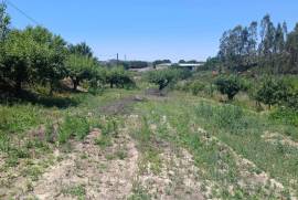 Terreno com projeto aprovado para moradia T3, em Cortes, Leiria. Terreno com projeto aprovado para moradia T3, em Cortes, Leiria.