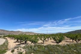 listing listing