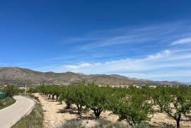 listing listing