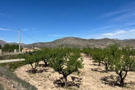 listing listing