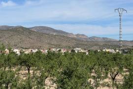 listing listing