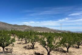 listing listing