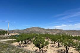 listing listing